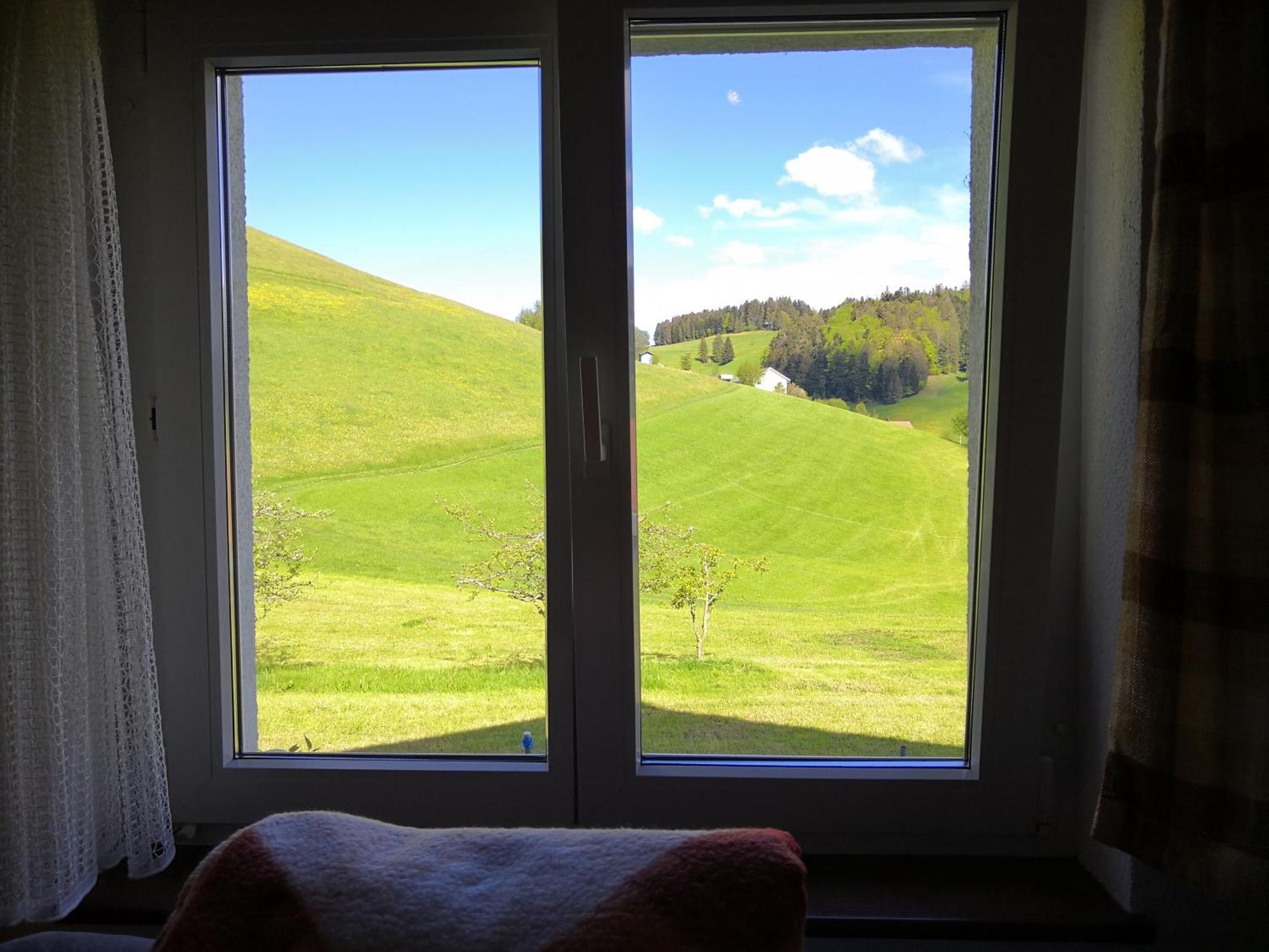 Apartment Am Birkenweg Walde Екстер'єр фото